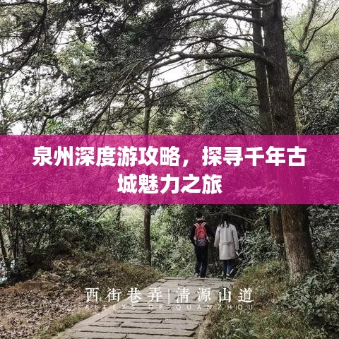 泉州深度游攻略，探寻千年古城魅力之旅