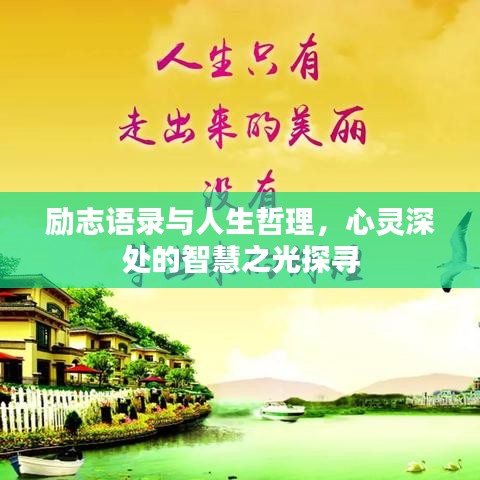 励志语录与人生哲理，心灵深处的智慧之光探寻