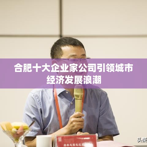 合肥十大企业家公司引领城市经济发展浪潮