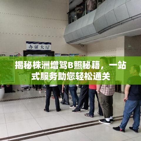 揭秘株洲增驾B照秘籍，一站式服务助您轻松通关