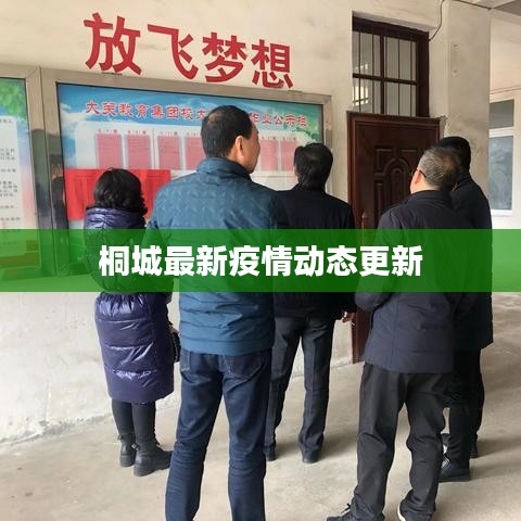 桐城最新疫情动态更新