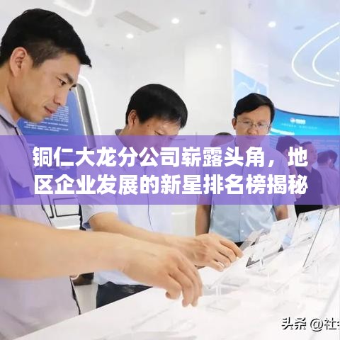铜仁大龙分公司崭露头角，地区企业发展的新星排名榜揭秘