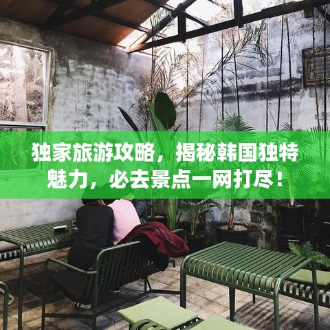 独家旅游攻略，揭秘韩国独特魅力，必去景点一网打尽！
