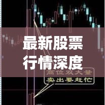 最新股票行情深度解析与走势预测