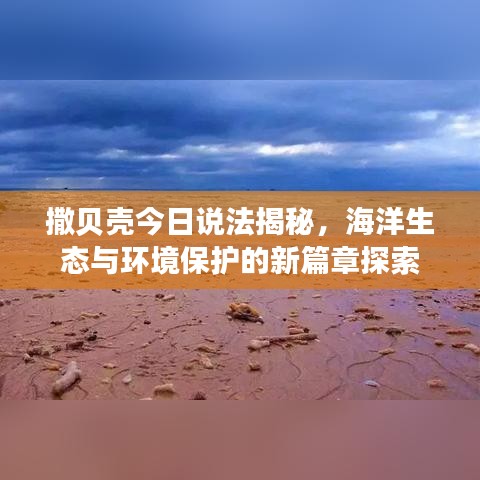 撒贝壳今日说法揭秘，海洋生态与环境保护的新篇章探索