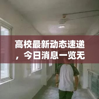 高校最新动态速递，今日消息一览无余！