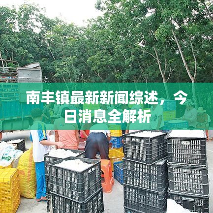 南丰镇最新新闻综述，今日消息全解析