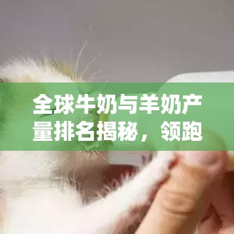 全球牛奶与羊奶产量排名揭秘，领跑者究竟是谁？
