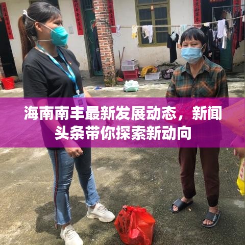 海南南丰最新发展动态，新闻头条带你探索新动向
