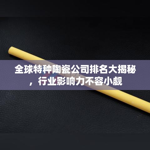 全球特种陶瓷公司排名大揭秘，行业影响力不容小觑