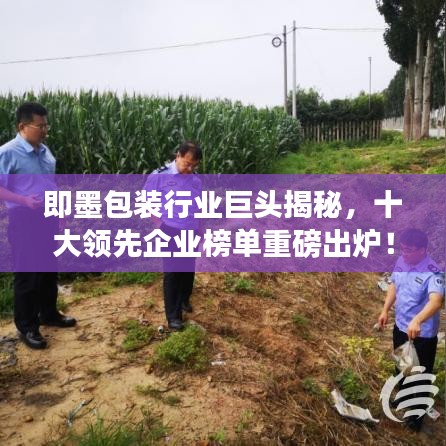即墨包装行业巨头揭秘，十大领先企业榜单重磅出炉！
