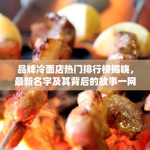 品牌冷面店热门排行榜揭晓，最新名字及其背后的故事一网打尽