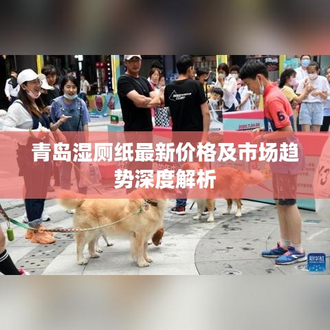 青岛湿厕纸最新价格及市场趋势深度解析