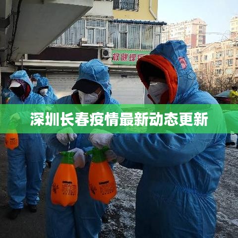 深圳长春疫情最新动态更新