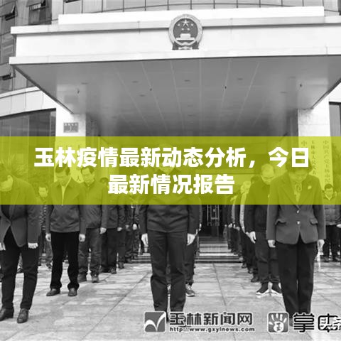 玉林疫情最新动态分析，今日最新情况报告