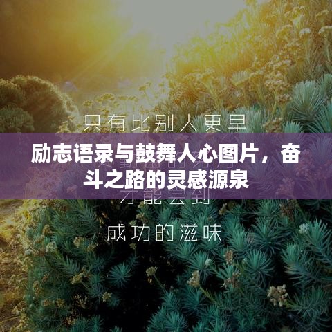 励志语录与鼓舞人心图片，奋斗之路的灵感源泉