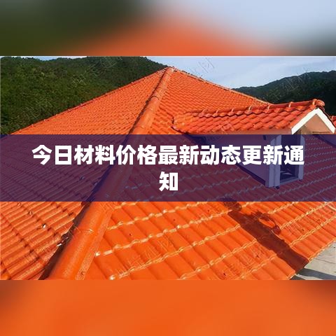 今日材料价格最新动态更新通知