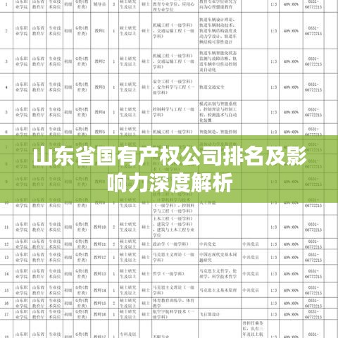 山东省国有产权公司排名及影响力深度解析