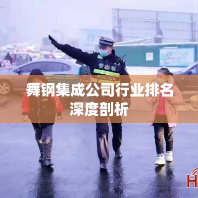 舞钢集成公司行业排名深度剖析