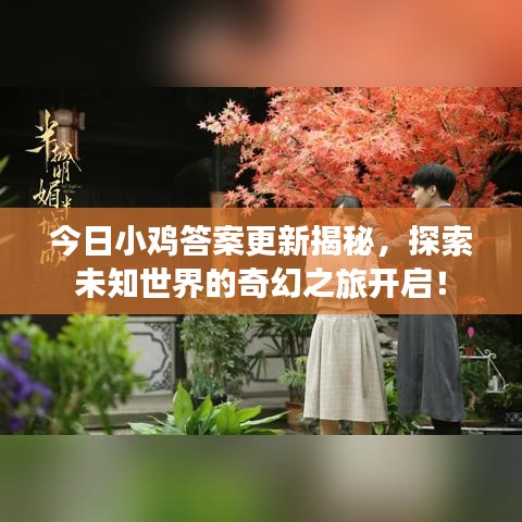 今日小鸡答案更新揭秘，探索未知世界的奇幻之旅开启！