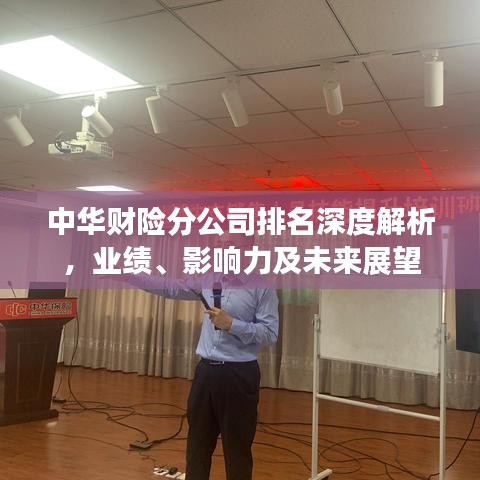 中华财险分公司排名深度解析，业绩、影响力及未来展望