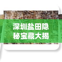 深圳盐田隐秘宝藏大揭秘，滨海旅游全攻略！