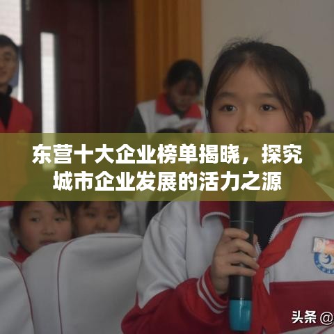 东营十大企业榜单揭晓，探究城市企业发展的活力之源