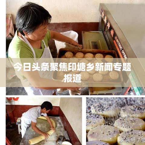 今日头条聚焦印塘乡新闻专题报道