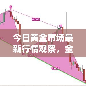 今日黄金市场最新行情观察，金价走势揭秘