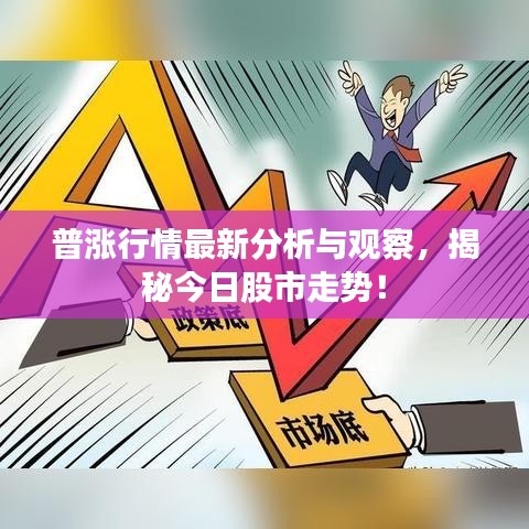 普涨行情最新分析与观察，揭秘今日股市走势！