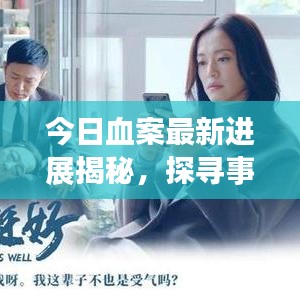 今日血案最新进展揭秘，探寻事件真相与正义之路不歇