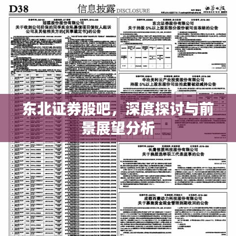 东北证券股吧，深度探讨与前景展望分析
