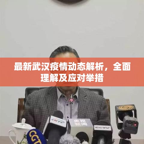 最新武汉疫情动态解析，全面理解及应对举措