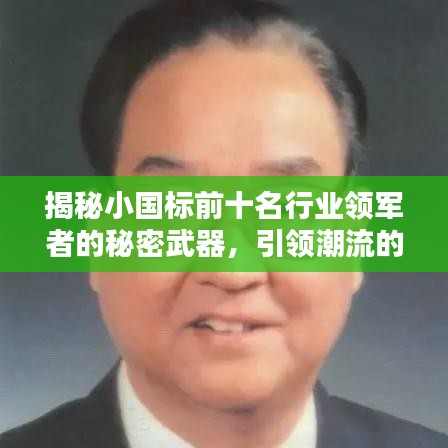 揭秘小国标前十名行业领军者的秘密武器，引领潮流的制胜之道