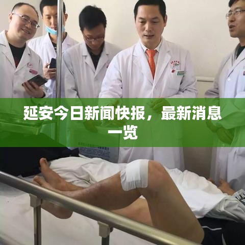 延安今日新闻快报，最新消息一览
