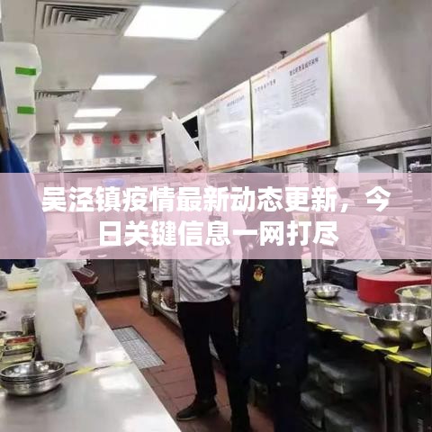 吴泾镇疫情最新动态更新，今日关键信息一网打尽
