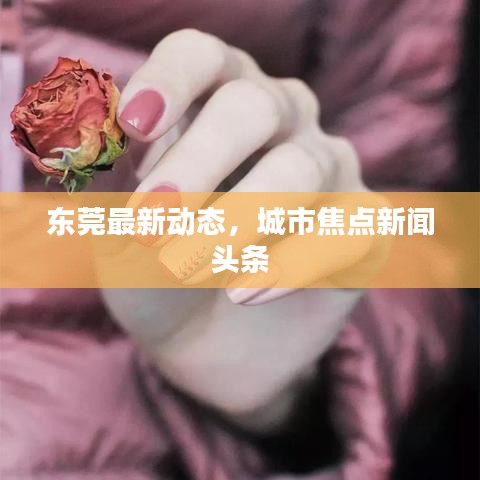 东莞最新动态，城市焦点新闻头条
