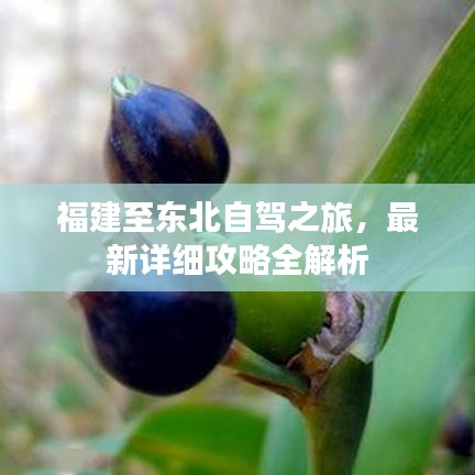 福建至东北自驾之旅，最新详细攻略全解析