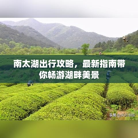 南太湖出行攻略，最新指南带你畅游湖畔美景