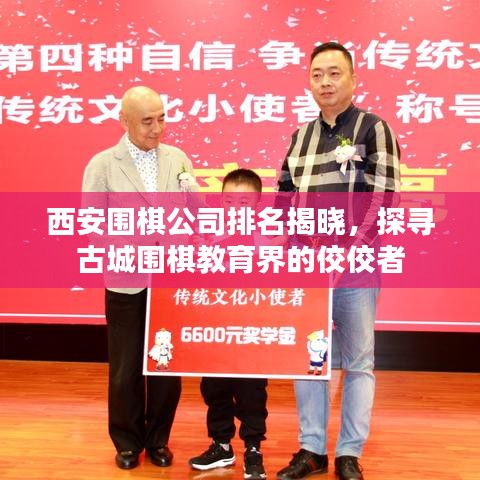 西安围棋公司排名揭晓，探寻古城围棋教育界的佼佼者
