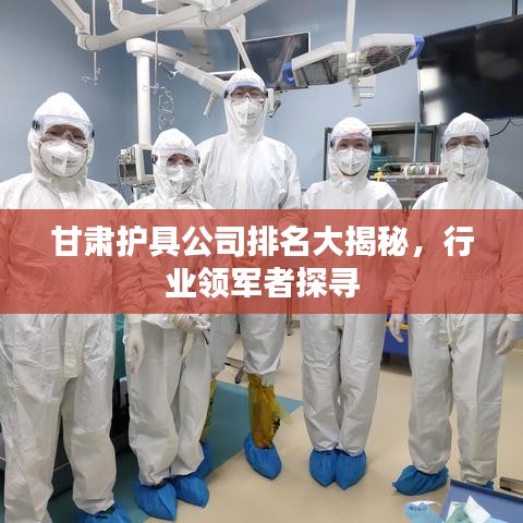 甘肃护具公司排名大揭秘，行业领军者探寻
