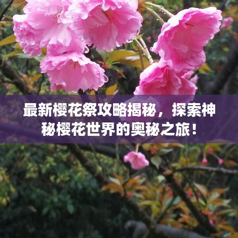 2025年5月13日 第28页