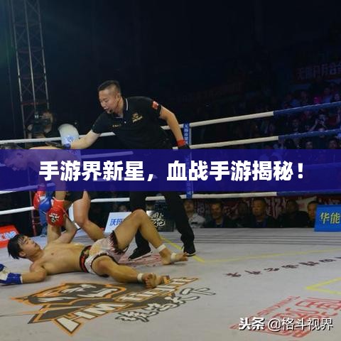 手游界新星，血战手游揭秘！