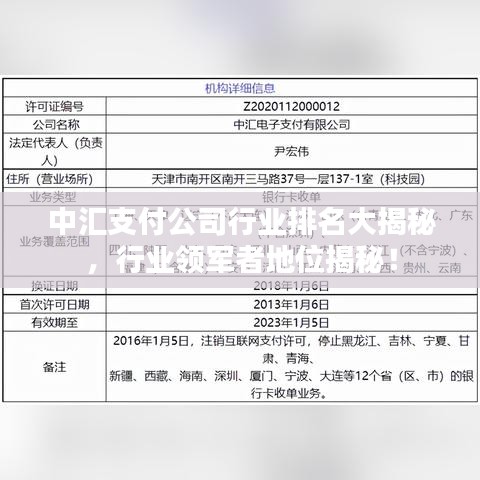 中汇支付公司行业排名大揭秘，行业领军者地位揭秘！