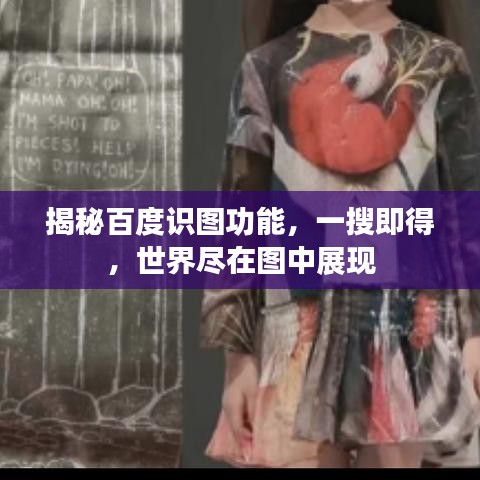揭秘百度识图功能，一搜即得，世界尽在图中展现