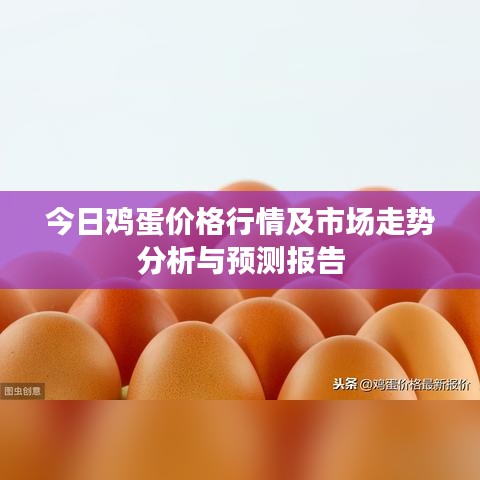 今日鸡蛋价格行情及市场走势分析与预测报告