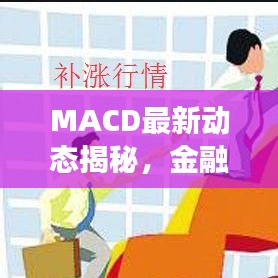 MACD最新动态揭秘，金融市场风向标的新变化