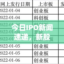 今日IPO新闻速递，新股上市动态与市场反应深度解析