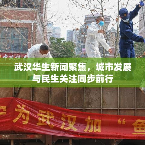 武汉华生新闻聚焦，城市发展与民生关注同步前行