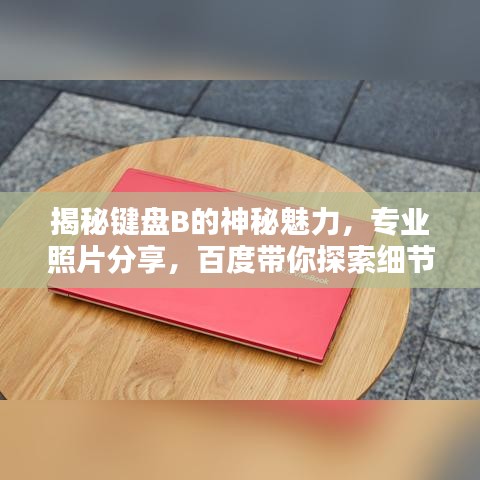 揭秘键盘B的神秘魅力，专业照片分享，百度带你探索细节之美！
